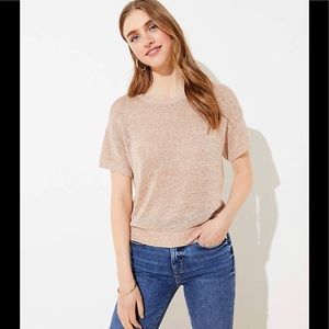 🎄Shimmer Dolman Sweater tee by Loft